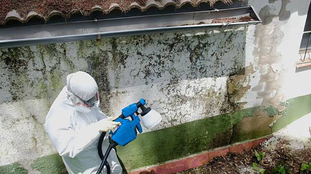 Top rated local Hvac And Air Duct Mold Remediation specialists in Belle Haven, VA